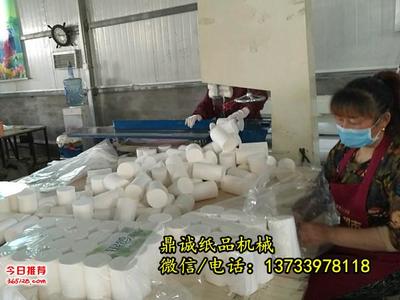 农村办卫生纸加工厂的市场前景与实操指南